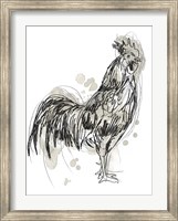 Feathered Fowl III Fine Art Print