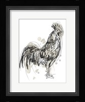 Feathered Fowl III Framed Print