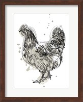 Feathered Fowl IV Fine Art Print