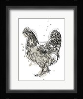 Feathered Fowl IV Framed Print
