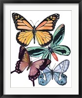Butterfly Swatches I Fine Art Print