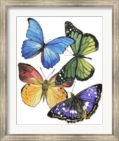 Butterfly Swatches II Fine Art Print