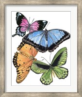 Butterfly Swatches III Fine Art Print