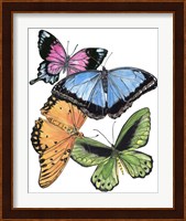 Butterfly Swatches III Fine Art Print