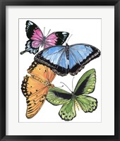Butterfly Swatches III Framed Print