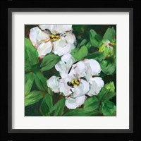 Summer Bride I Framed Print