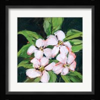 Summer Bride III Framed Print