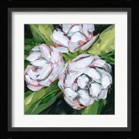 Summer Bride IV Framed Print