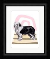 Home Alone IV Framed Print