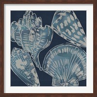 Marine Shells II Fine Art Print