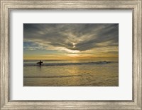 Sunrise On Surfer With Board Walking Through Shore Waves, Cape May NJ Fine Art Print