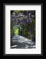 Wisteria Arbor In Garden, Austria, Vienna, Schonbrunn Palace Fine Art Print