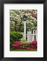 Pickett Fence, Lamp, Azaleas, And Flowering Dogwood Tree, Louisville, Kentucky Fine Art Print