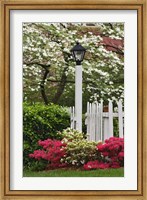 Pickett Fence, Lamp, Azaleas, And Flowering Dogwood Tree, Louisville, Kentucky Fine Art Print