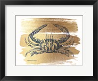 Brushed Gold Crab Framed Print