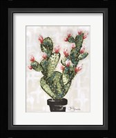 Cactus Fine Art Print