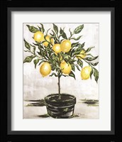 Lemon Tree Fine Art Print