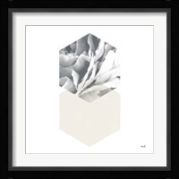 Blossoms IV Framed Print