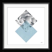 Blossoms III Framed Print