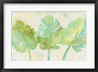 Tropical Trio Fine Art Print