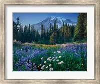 Mount Rainier Fine Art Print