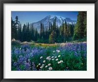 Mount Rainier Fine Art Print