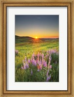 Prairie Sunrise Fine Art Print