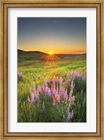 Prairie Sunrise Fine Art Print