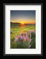 Prairie Sunrise Framed Print