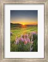 Prairie Sunrise Fine Art Print