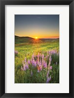 Prairie Sunrise Framed Print