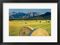 Waterton Hay Bales Framed Print