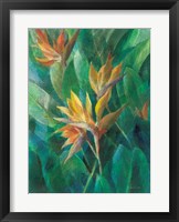 Bird of Paradise II Fine Art Print