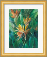 Bird of Paradise II Fine Art Print