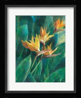 Bird of Paradise I Fine Art Print