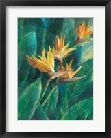 Bird of Paradise I Fine Art Print