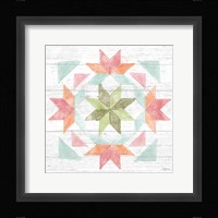 Pastel Flower Market XI Framed Print