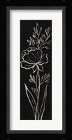 Black Floral III Crop Framed Print
