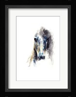 Alert V Fine Art Print