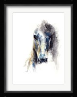 Alert V Fine Art Print