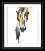 Alert VIII Fine Art Print