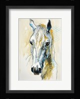 Horse Head Fine Art Print