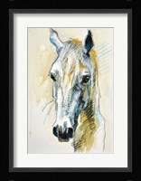 Horse Head Fine Art Print