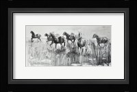 Equine Life 2 Fine Art Print