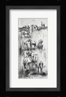 Equine Life 4 Fine Art Print