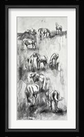 Equine Life 4 Fine Art Print