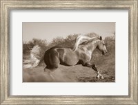 Platinum Centerfold (sepia) Fine Art Print