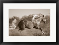 Platinum Centerfold (sepia) Fine Art Print