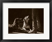 Catahoulas Fine Art Print