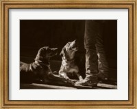 Catahoulas Fine Art Print